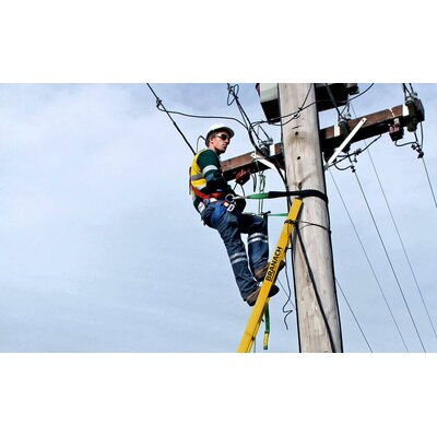 FEU TE-AR uitschuifbare ladder Branach Euro PowerMaster
