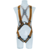 ARG 30