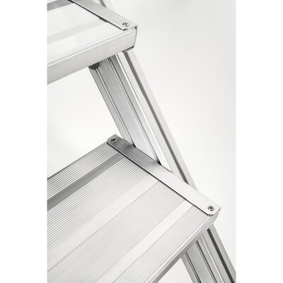 CREAXESS Stationary bridging steps 