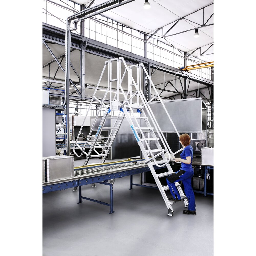 CREAXESS Stationary bridging steps 